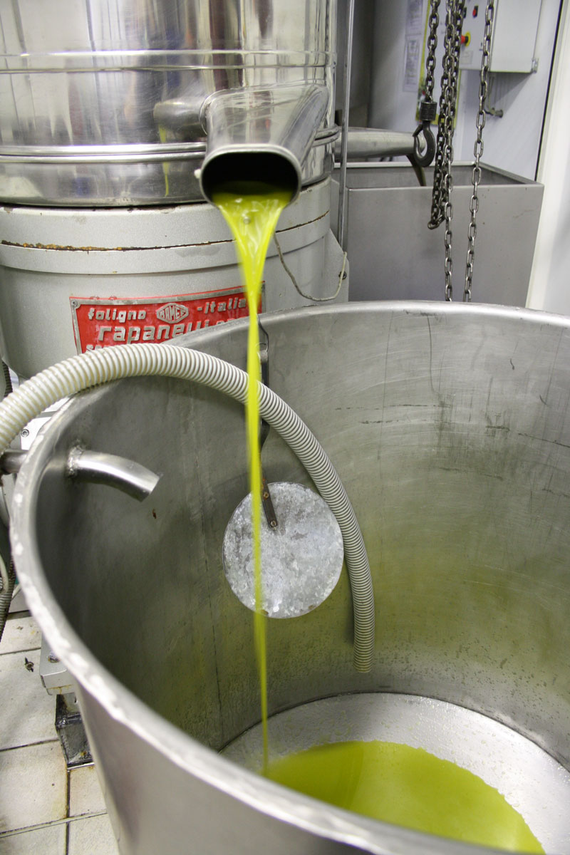 Fabrication de l'huile d'olive au moulin de Mouries en Provence